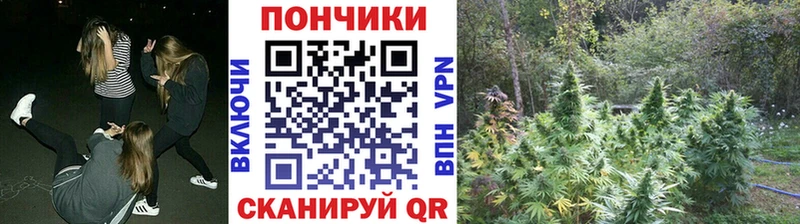 Купить закладки  Палласовка  Конопля ГИДРОПОН 